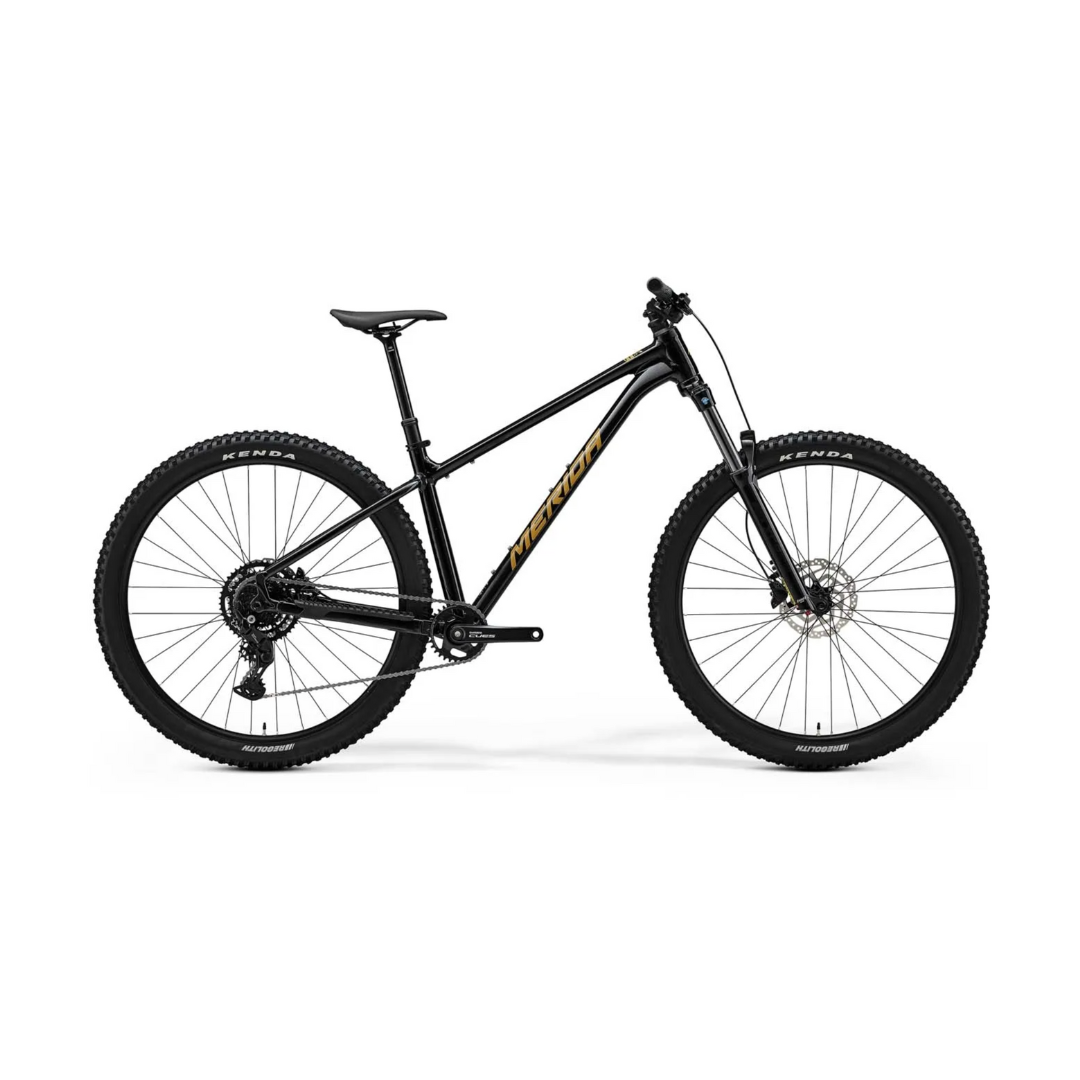 2025 Merida Big Trail 300