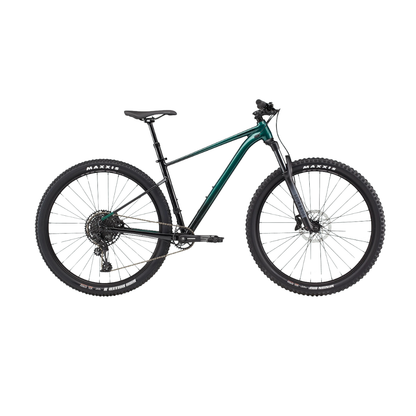 2025 Cannondale Trail SE